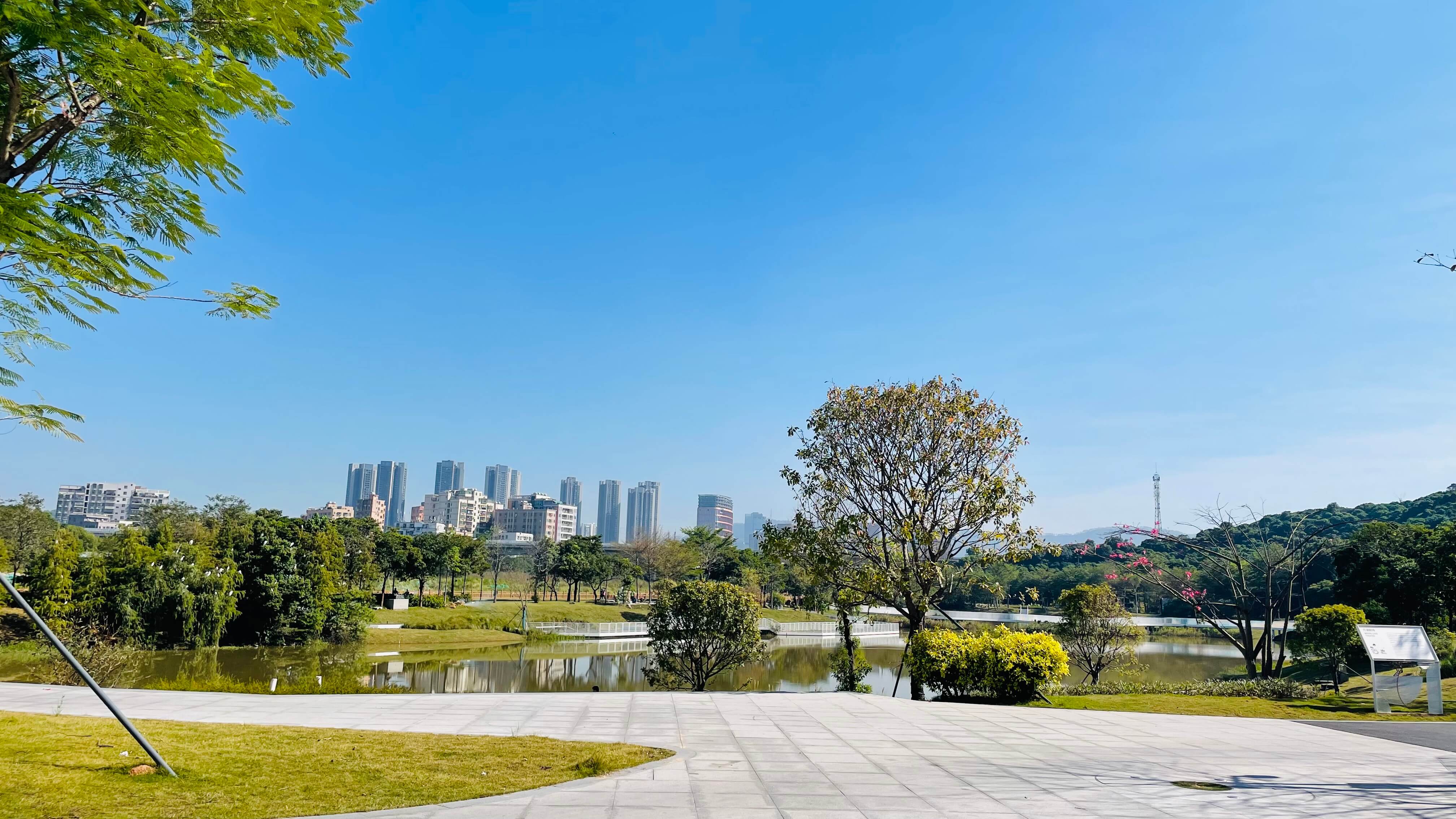 新陂頭南濕地公園-湖景